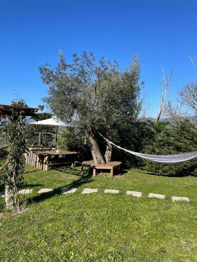 Holiday home Quintinha Da Cachadinha